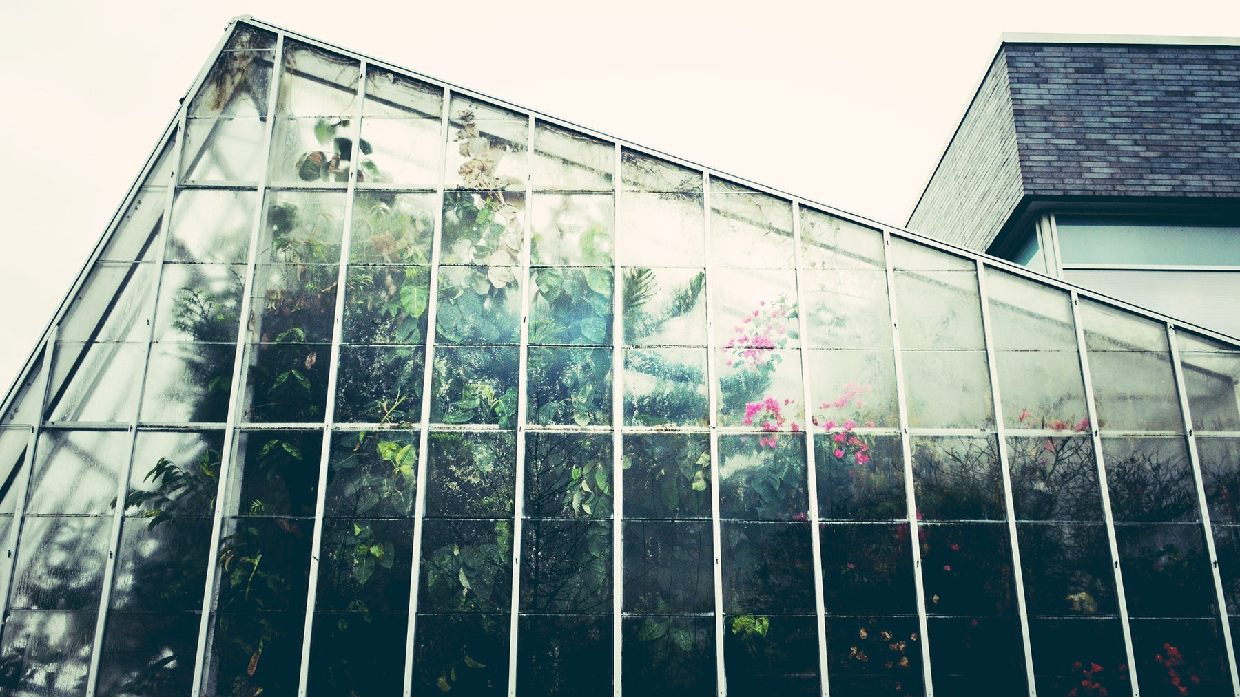 Greenhouse Panels